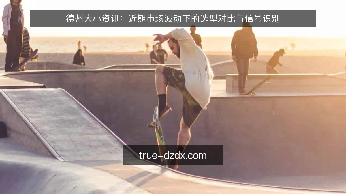 德州大小资讯:近期市场波动下的选型对比与信号识别