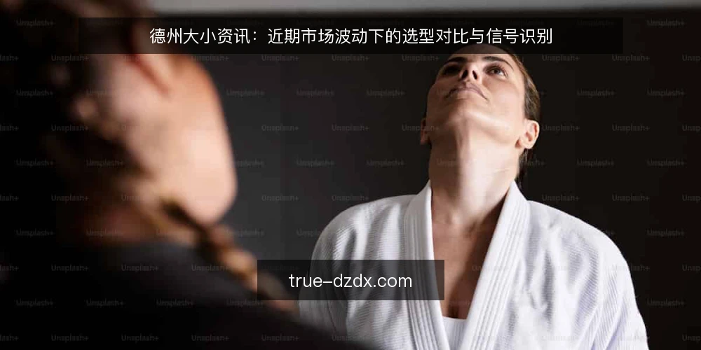 德州大小资讯:近期市场波动下的选型对比与信号识别 — 决策依据:先界定需求边界 配图