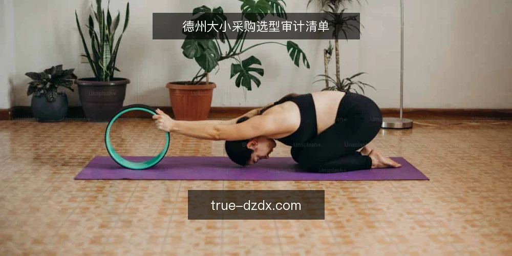 德州大小采购选型审计清单 — 为什么现在要做德州大小审计 配图