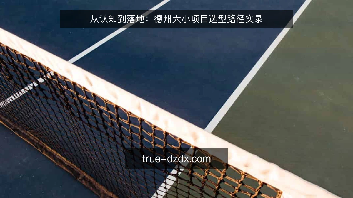 从认知到落地：德州大小项目选型路径实录