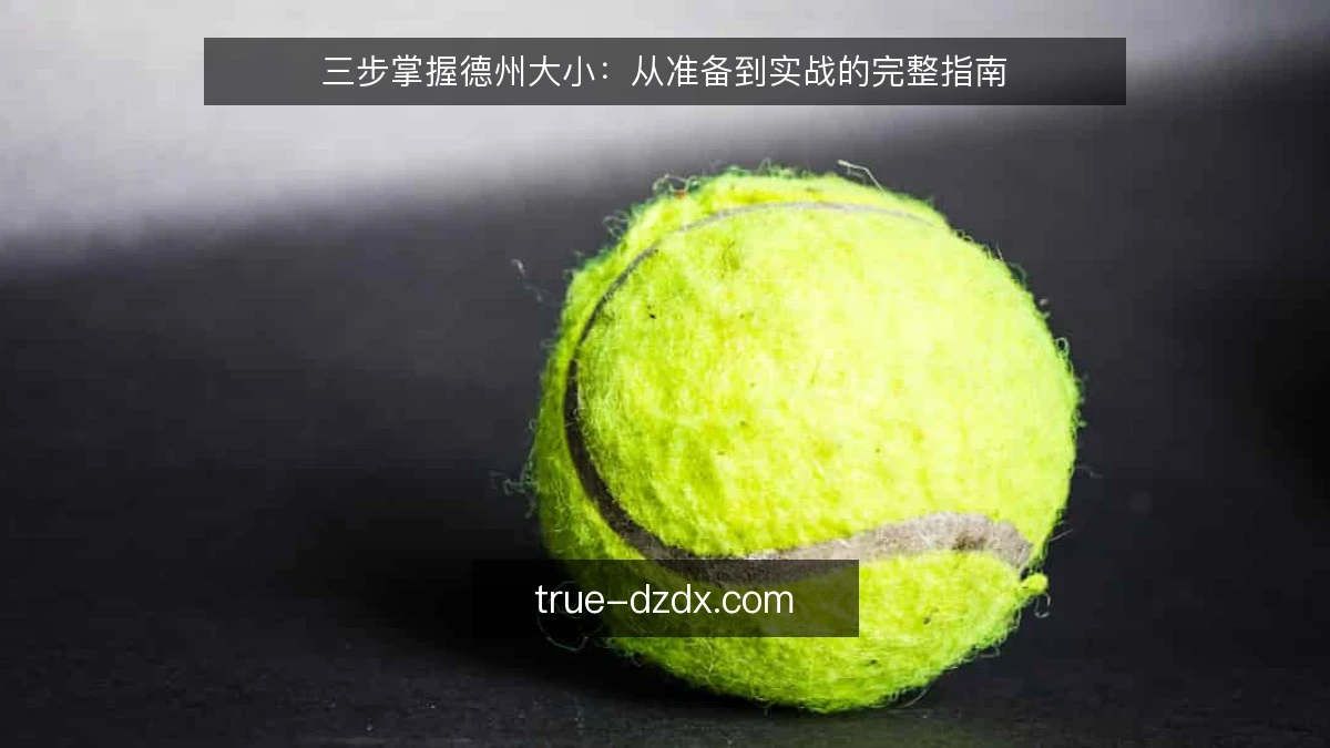 三步掌握德州大小:从准备到实战的完整指南