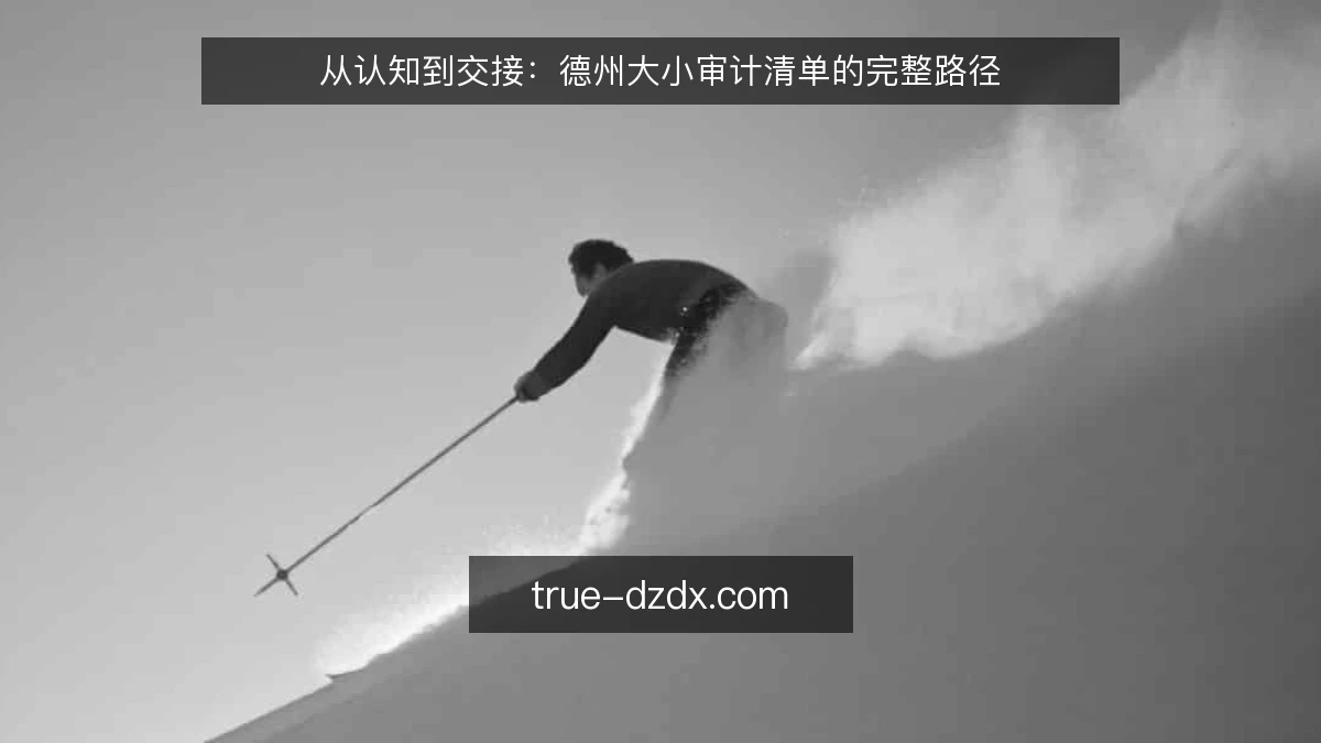 从认知到交接:德州大小审计清单的完整路径
