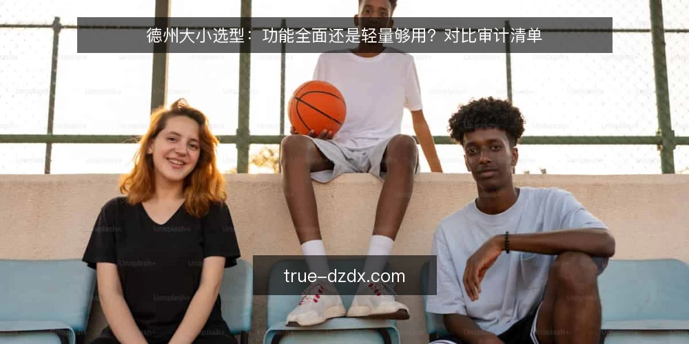 德州大小选型:功能全面还是轻量够用?对比审计清单 — 为何现在要审计德州大小选型 配图