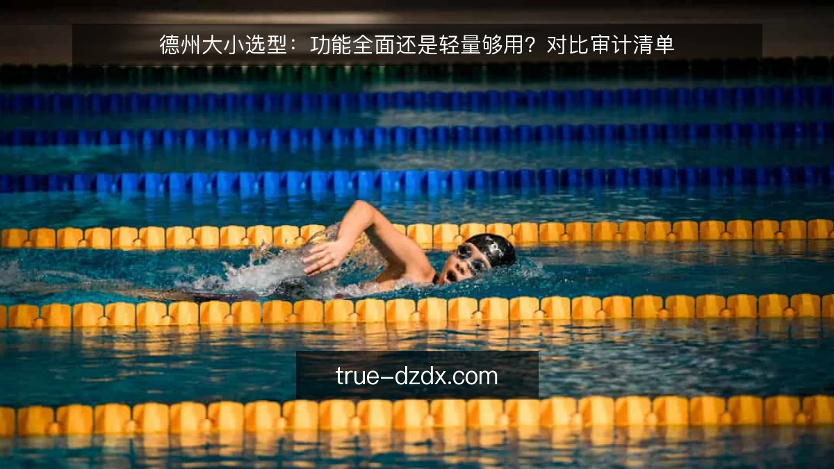 德州大小选型:功能全面还是轻量够用?对比审计清单