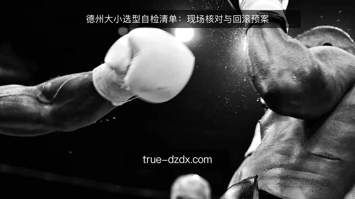 德州大小选型自检清单：现场核对与回滚预案
