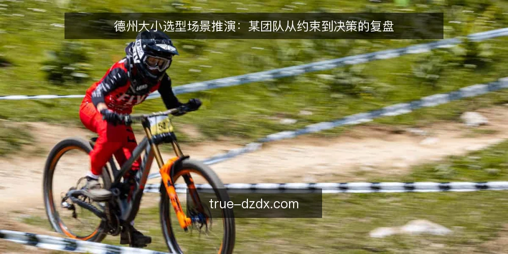 德州大小选型场景推演:某团队从约束到决策的复盘 — 场景设定:某团队的选型需求 配图