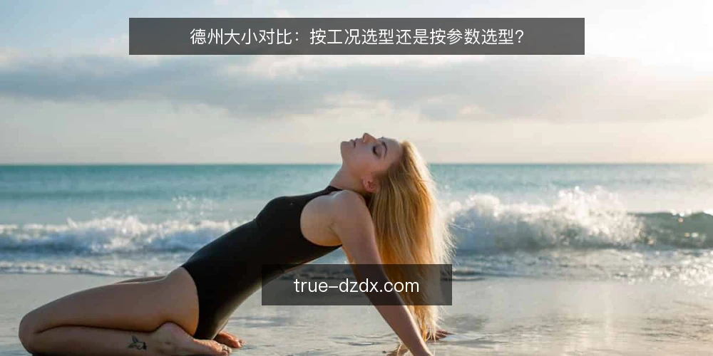 德州大小对比:按工况选型还是按参数选型? — 为什么现在需要重新审计德州大小选型 配图