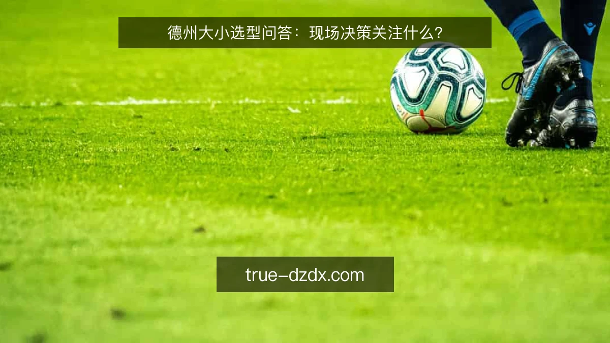 德州大小选型问答：现场决策关注什么？
