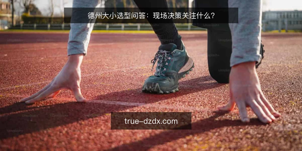 德州大小选型问答:现场决策关注什么? — 需要定义:德州大小选型要解决什么问题? 配图