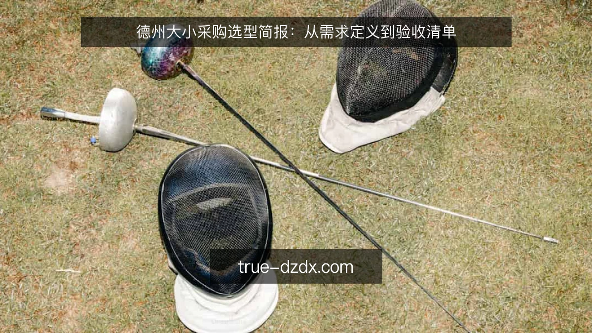德州大小采购选型简报：从需求定义到验收清单