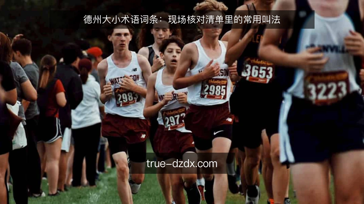 德州大小术语词条：现场核对清单里的常用叫法