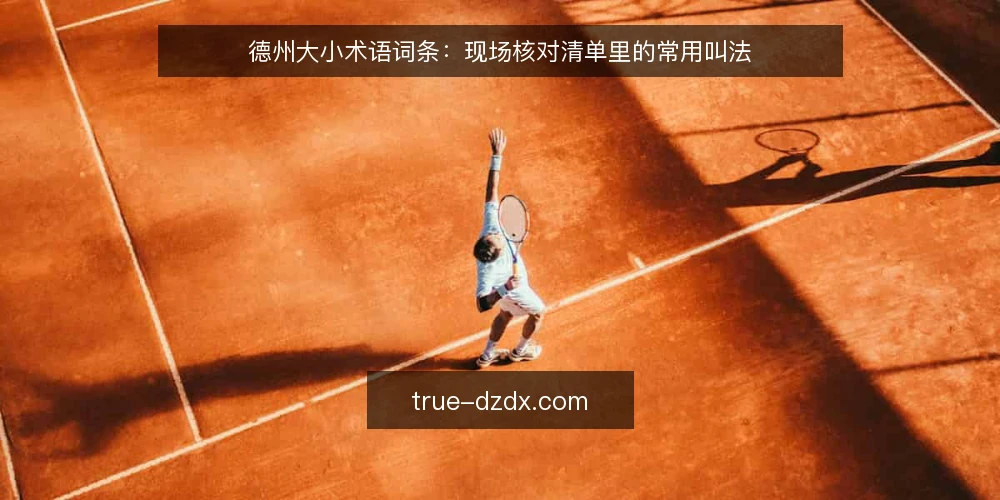 德州大小术语词条：现场核对清单里的常用叫法 — 现场要盯的信号 配图