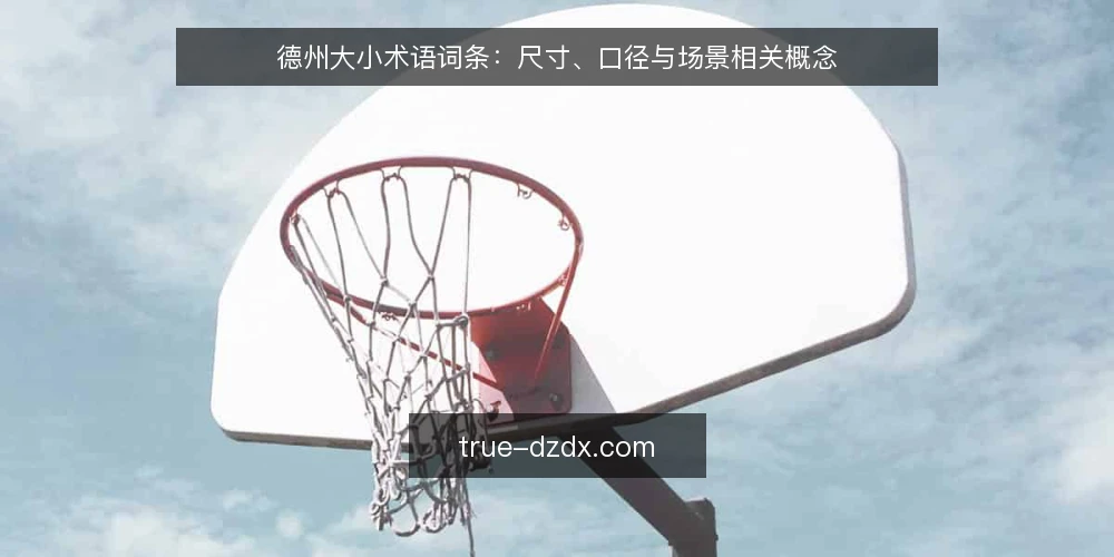 德州大小术语词条:尺寸、口径与场景相关概念 — 德州大小术语体系概览 配图