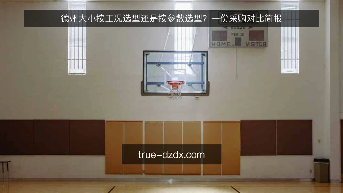 德州大小按工况选型还是按参数选型？一份采购对比简报