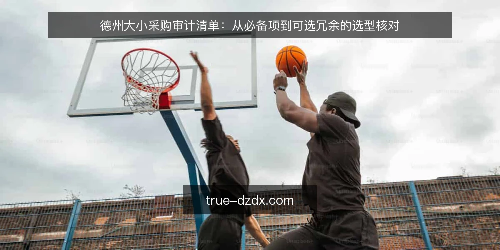 德州大小采购审计清单:从必备项到可选冗余的选型核对 — 为什么现在要做一次德州大小审计 配图