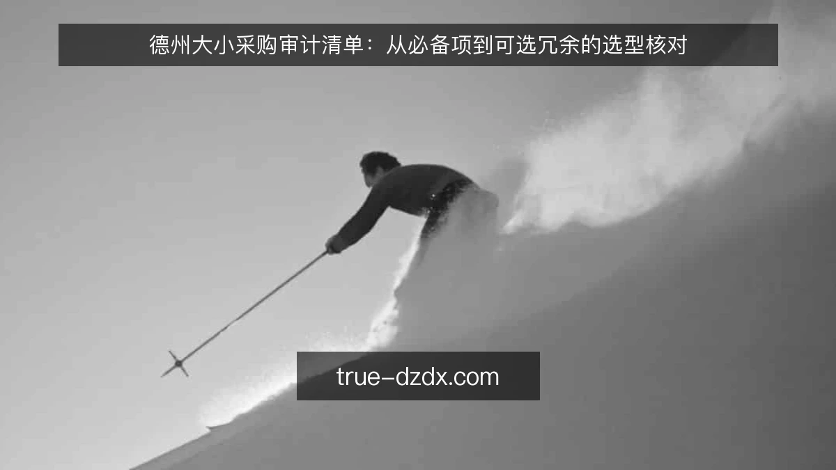 德州大小采购审计清单:从必备项到可选冗余的选型核对