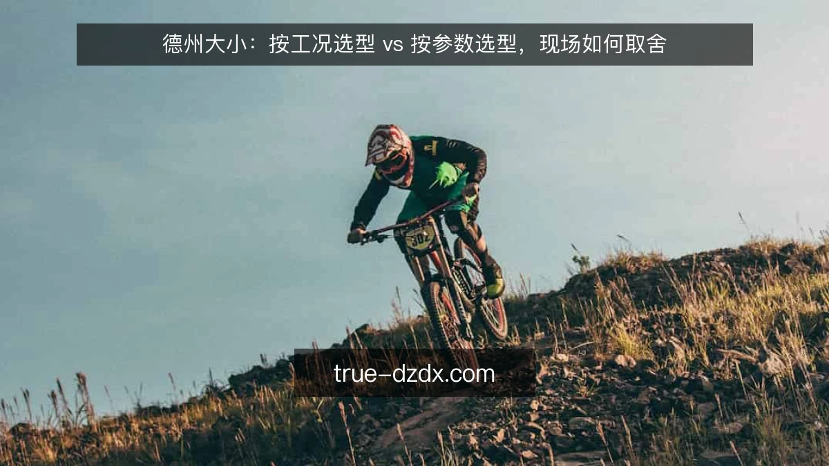 德州大小:按工况选型 vs 按参数选型,现场如何取舍