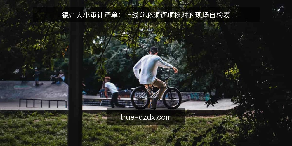德州大小审计清单:上线前必须逐项核对的现场自检表 — 为什么现在就要做一次审计 配图
