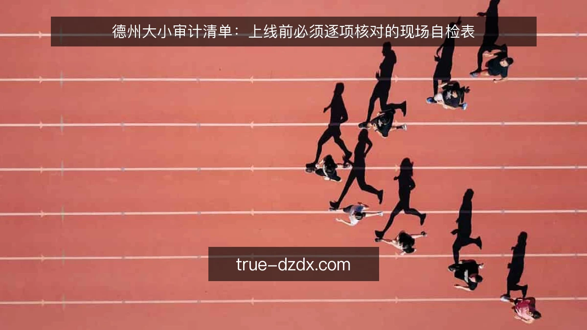 德州大小审计清单:上线前必须逐项核对的现场自检表
