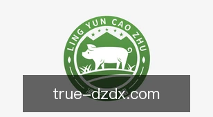 德州大小